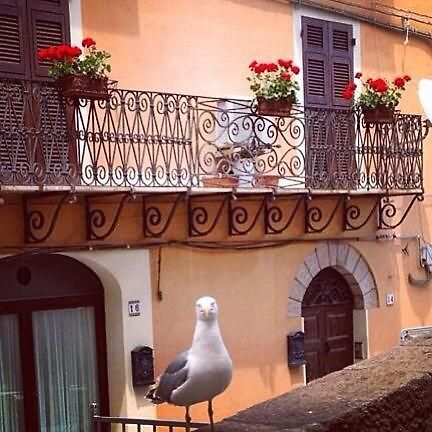 Bed and Breakfast L'Appogghju Castelsardo Esterno foto